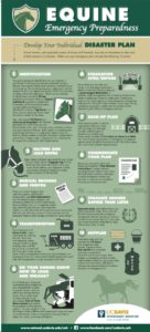 equine-prepare-screenshot